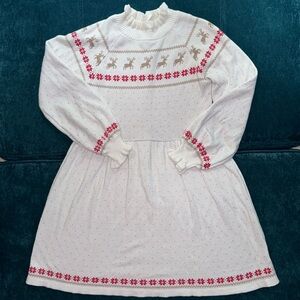 Winter Sweater Dress